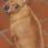 phiu