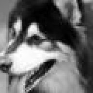 messi_alaskan