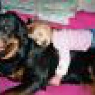 Phong_longbien