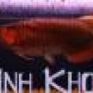 khoapro9x
