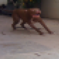 Ducthinhndt
