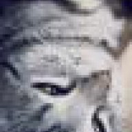 chiru