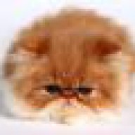 bin_yeumeo