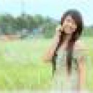 pe_rynk_kute_1021