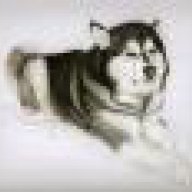 DaNaPet