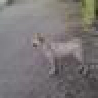 thoikhacdeyeu_090787