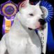 Tuấn Dogo