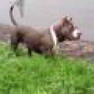 Mr.TuTi
