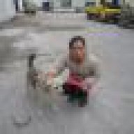 tieu_tuyet