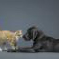 Labra102