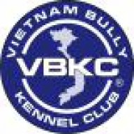 VIET_PRIDE_BULLIES
