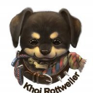khoi.rottweiler