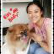 Happypetcare
