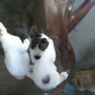 poohteddy_189