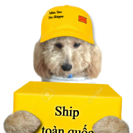 bellxinhdep
