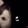 Thu Husky