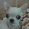 Tomy-SP