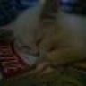 meobong