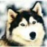 ghost_eyes