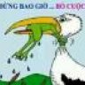 bop_kit and bi