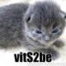 vits2be