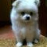 babi