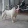 Binh_Xoay_Thai