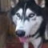 yeuhusky
