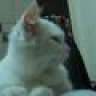 my.meo.511