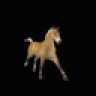 r0cky