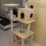 Cat Tree Vietnam