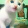 suluvy_x9x