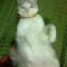 thoi
