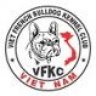 vietanhbullies