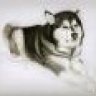 DaNaPet