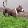 Mr.TuTi