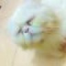 Me0_yeu
