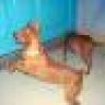 i_MinPin