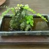 NamLong