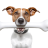 webthucung