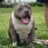 quochiep_0207