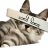 prettycat214