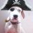 jenny_Q