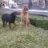 Tony_Nghia
