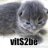 vits2be