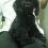 linhct91