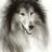 yeocollie