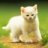 Isabell_123