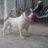 Binh_Xoay_Thai