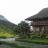 liensapa